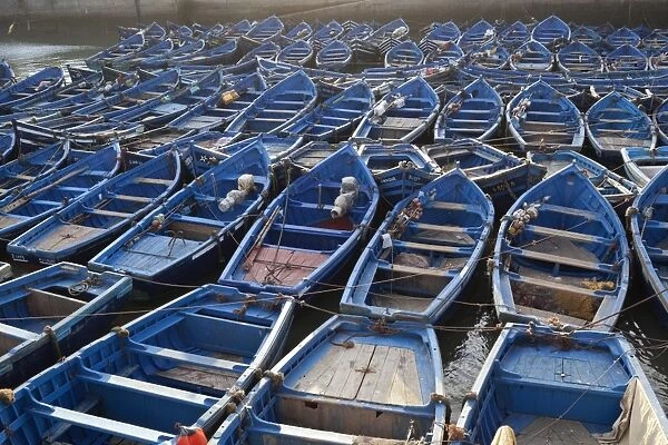 Traditional blue fishing boats in the harbour, Essaouira, Atlantic coast, Morocco, North Africa, Africa