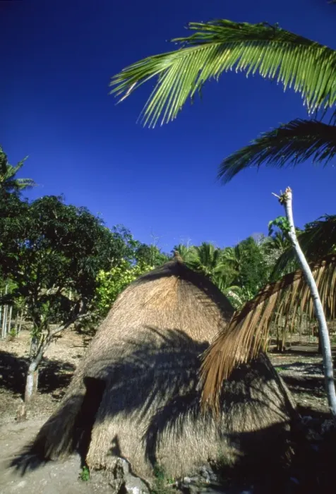 Framed Print : Traditional conical hut in town of Soe, western Timor, Southeast Asia, Asia Framed Print : Traditional conical hut in town of Soe, western Timor, Southeast Asia, Asia