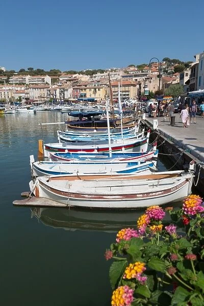 Traditional fishing boats moored in the harbour of the historic town of Cassis, Cote d Azur