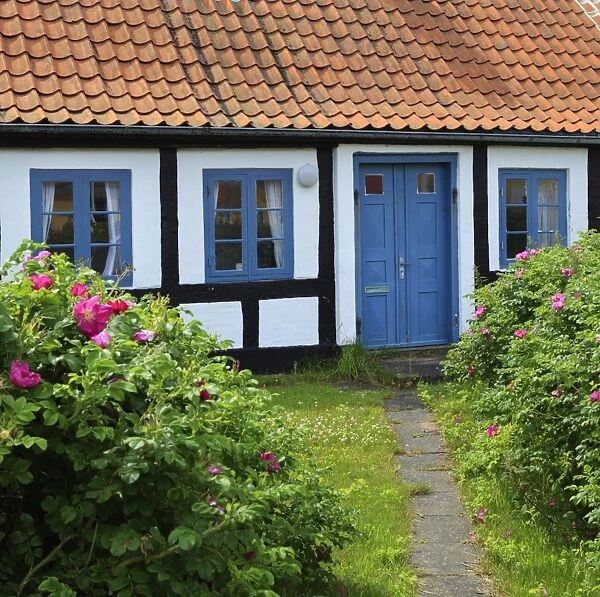 Traditional half-timbered house, Gammel Skagen, Jutland, Denmark, Scandinavia, Europe