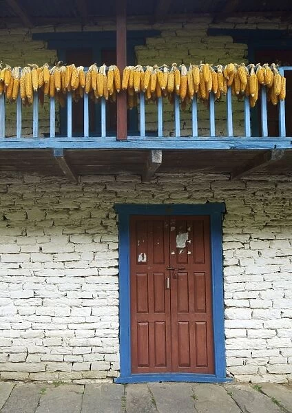 Traditional house drying corn, near Ulleri, Annapurna Sanctuary Region