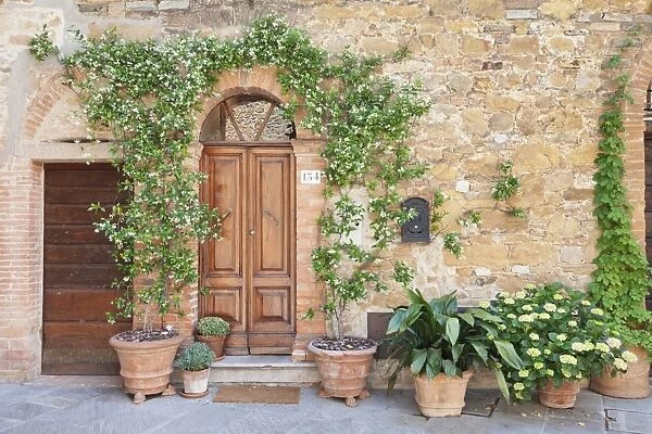 Traditional house with flower pots, Montisi, Siena Province, Tuscany, Italy, Europe