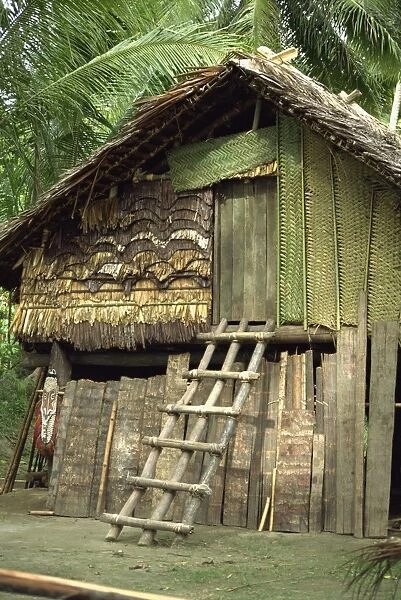 Traditional house with ladder to door