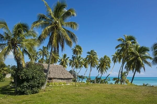 Traditional hut in Saint Joseph, Ouvea, Loyalty Islands, New Caledonia, Pacific