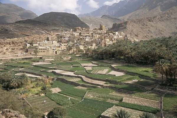 Traditional jabali village with palmery in basin in Jabal Akhdar