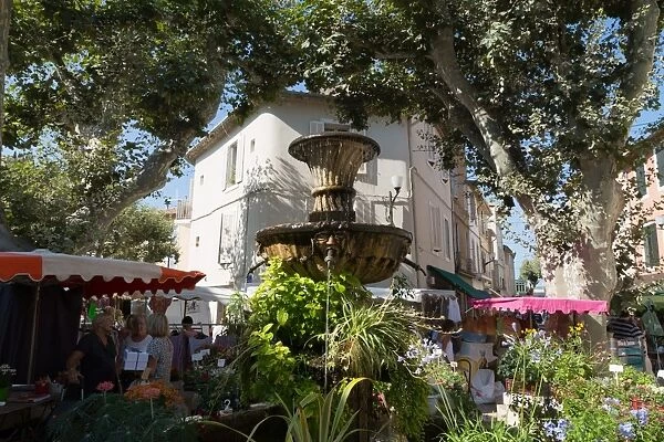 Traditional open air market in the historic town of Cassis, Cote d Azur, Provence