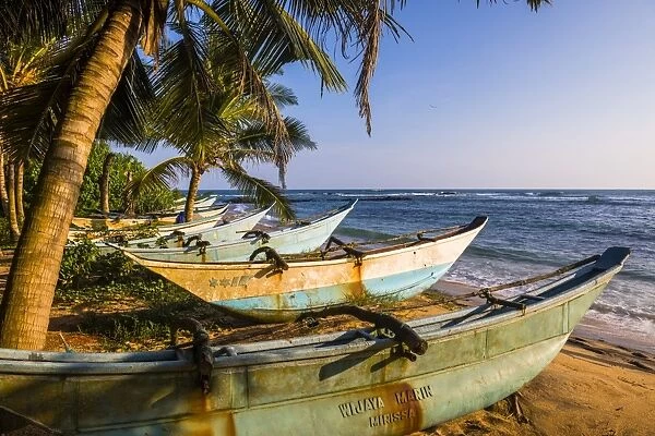Traditional Sri Lanka fishing boats on Mirissa Beach, South Coast, Sri Lanka, Asia
