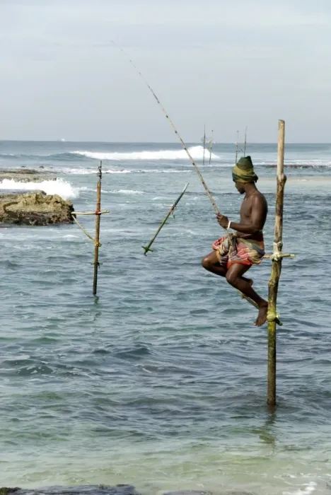 Framed Print : Traditional stilt fisherman, Koggala, near Weligama, south coast of Sri Lanka, Asia