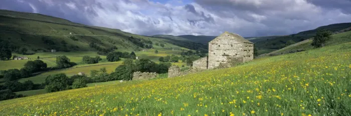 Framed Print : Traditional stone barn and buttercup meadow in Swaledale with stormy sky, Gunnerside Framed Print : Traditional stone barn and buttercup meadow in Swaledale with stormy sky, Gunnerside