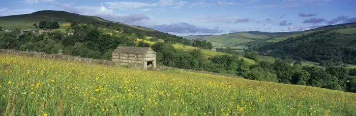 Framed Print : Traditional stone barn in yellow buttercup meadow in Swaledale, Gunnerside Framed Print : Traditional stone barn in yellow buttercup meadow in Swaledale, Gunnerside