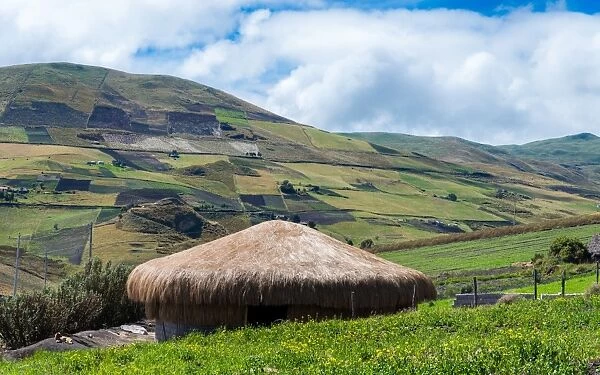 A traditional straw house in the Ecuadorian Andes, Ecuador, South America