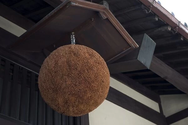 Traditional sugidama cedar ball sign hanging in front of sake shop in Echizen-Ono