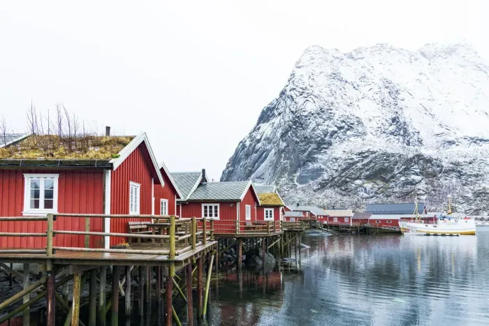 Framed Print : Traditional thatched roofed red cabins with majestic Reinebringen mountain in the background, Reine port, Lofoten Islands, Norway, Scandinavia, Europe Framed Print : Traditional thatched roofed red cabins with majestic Reinebringen mountain in the background, Reine port, Lofoten Islands, Norway, Scandinavia, Europe