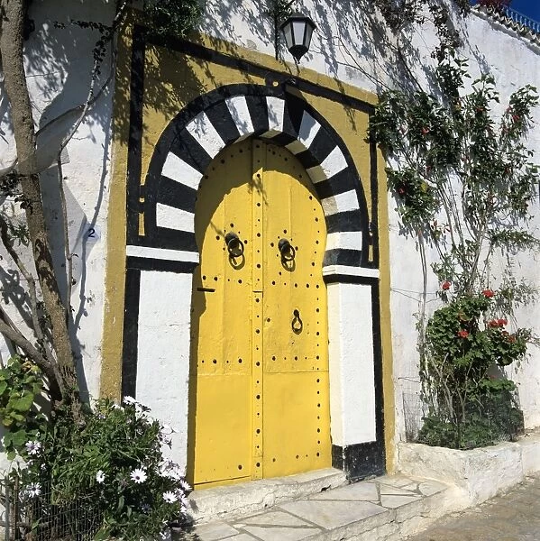 Traditional Tunisian doorway, Sidi Bou Said, Tunisia, North Africa, Africa
