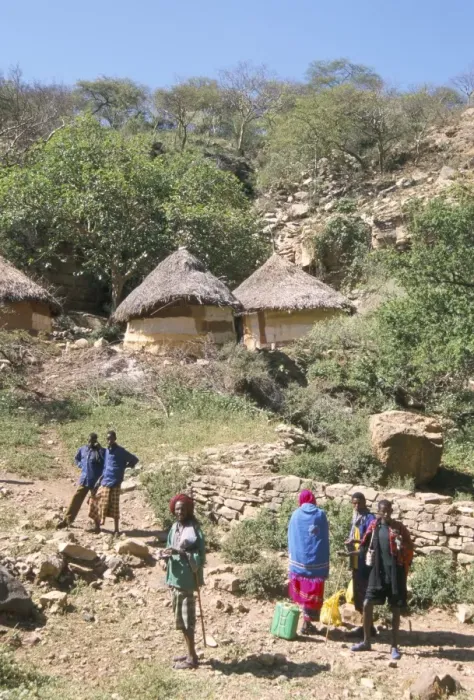 Framed Print : Traditional village houses in village of Sof Omar, Southern Highlands, Ethiopia, Africa Framed Print : Traditional village houses in village of Sof Omar, Southern Highlands, Ethiopia, Africa