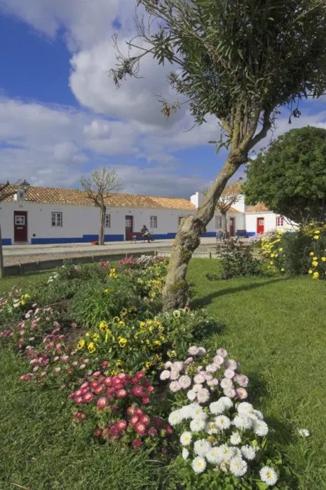 Framed Print : Traditional white and blue painted cottages in village centre, Porto Cova Framed Print : Traditional white and blue painted cottages in village centre, Porto Cova