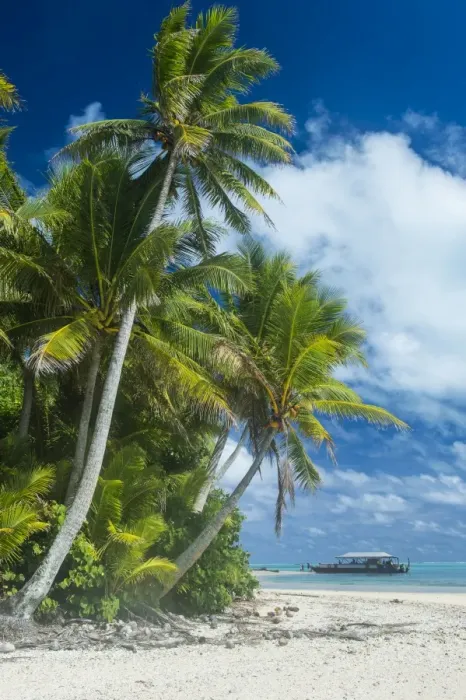 Framed Print : Traditional wood carved boat in the Aitutaki lagoon, Rarotonga and the Cook Islands Framed Print : Traditional wood carved boat in the Aitutaki lagoon, Rarotonga and the Cook Islands