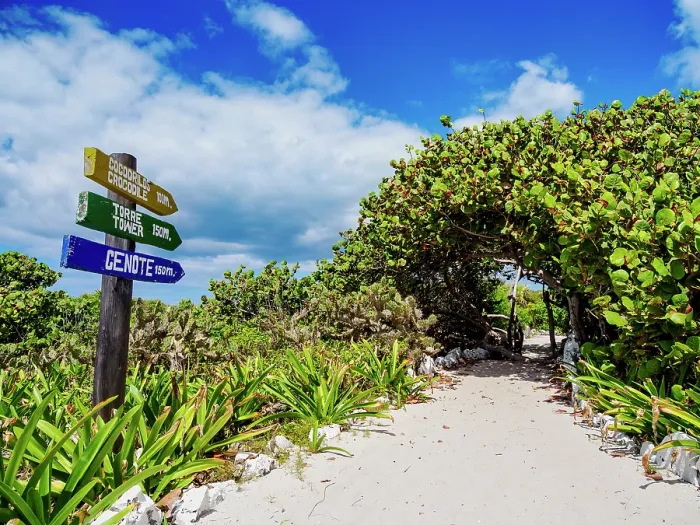 Framed Print : Trail at Punta Sur, Cozumel Island, Quintana Roo State, Mexico Framed Print : Trail at Punta Sur, Cozumel Island, Quintana Roo State, Mexico