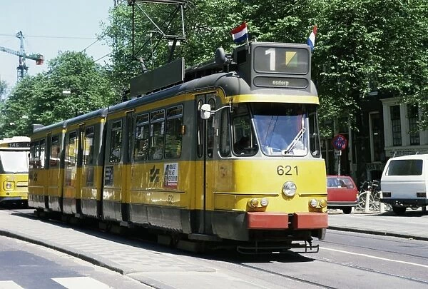 Trams take precedence over all traffic except cycles