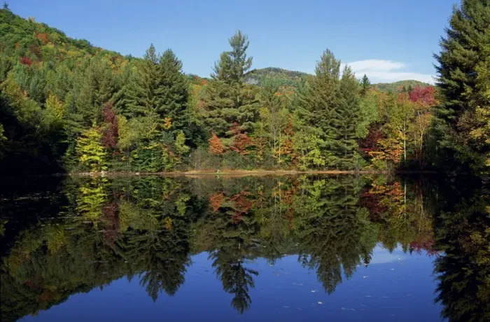 Framed Print : Tranquil scene of trees in autumn (fall) foliage reflected in a lake Framed Print : Tranquil scene of trees in autumn (fall) foliage reflected in a lake