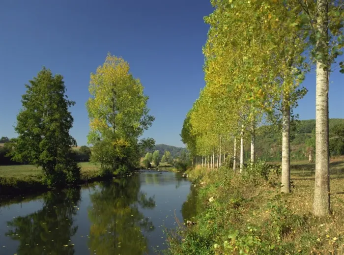 Framed Print : Tranquil scene of trees reflected in water, along the banks of the River Sarthe near St