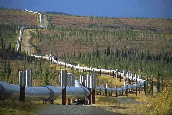 The Trans Alaska Oil Pipeline running on refrigerated
