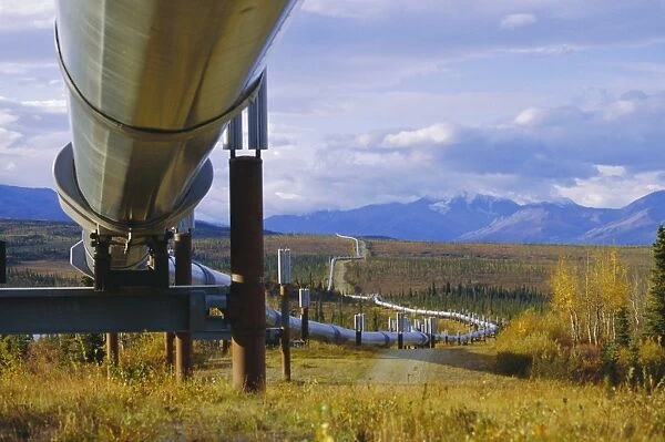 Trans Alaska oil pipeline across taiga through Alaskan