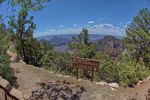The Transept Trail sign where it branches off from the Bright Angel Point Trail on the North Rim of Grand Canyon, Grand Canyon National Park, UNESCO World Heritage Site, Arizona, United States of America, North America
