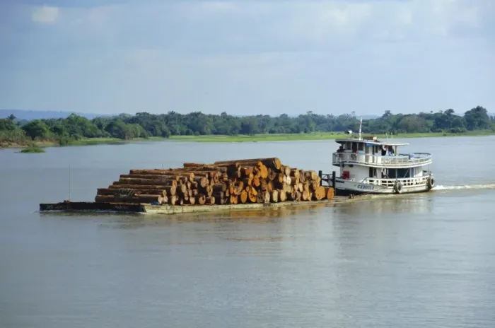 Framed Print : Transporting logs on the Curua-Unn River, near Amazon, Brazil, South America Framed Print : Transporting logs on the Curua-Unn River, near Amazon, Brazil, South America