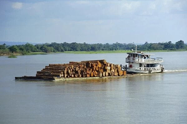 Transporting logs on the Curua-Unn River, near Amazon, Brazil, South America