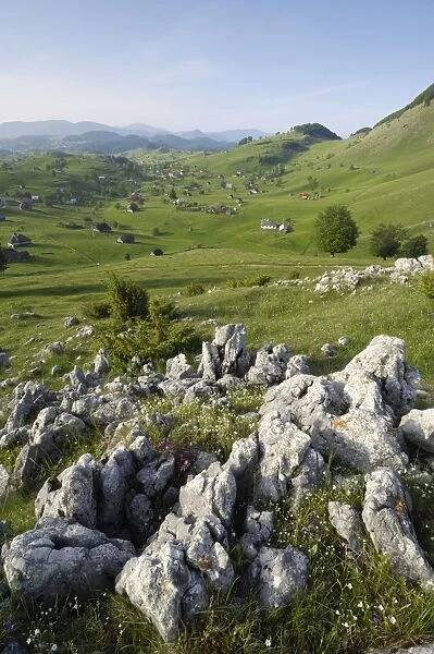 Transylvanian alps, near Bran, Transylvania, Romania, Europe