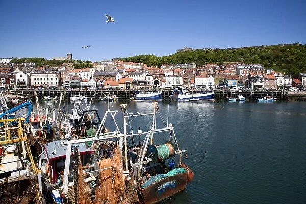 Trawlers in the harbour, Scarborough, North Yorkshire, Yorkshire, England, United Kingdom, Europe