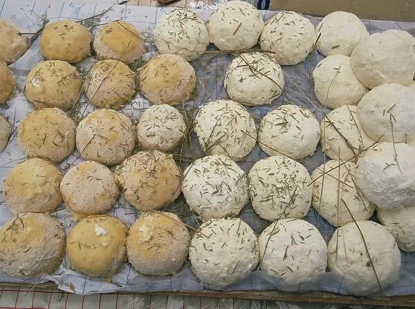 A tray of round goats cheeses in Provence, France, Europe