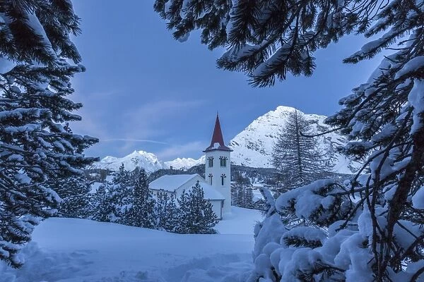 Tree branches covered in snow trying to hide the tiny church at the Maloja Pass, in the fairy-tale landscape of Engadine Valley, Graubunden, Swiss Alps, Switzerland, Europe