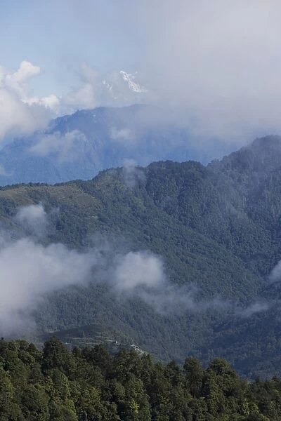 Tree covered slopes, Himalayas, Bhutan, Asia