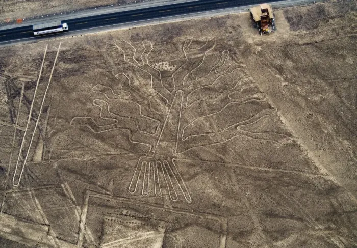 Framed Print : The Tree Geoglyph, aerial view, Nazca, UNESCO World Heritage Site, Ica Region, Peru Framed Print : The Tree Geoglyph, aerial view, Nazca, UNESCO World Heritage Site, Ica Region, Peru