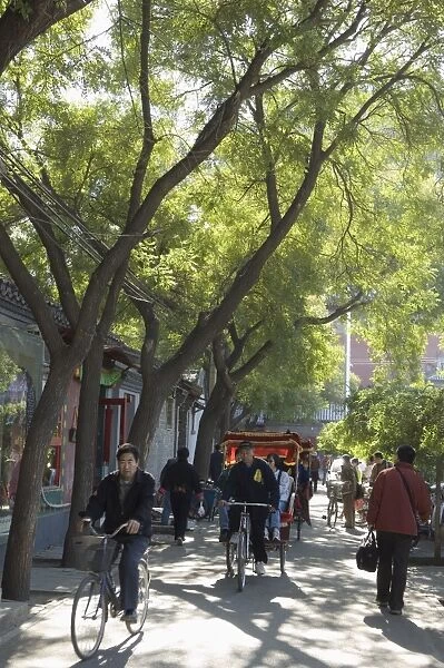 A tree lined avenue in a local neighbourhood, Hutong area of Beijing, China, Asia
