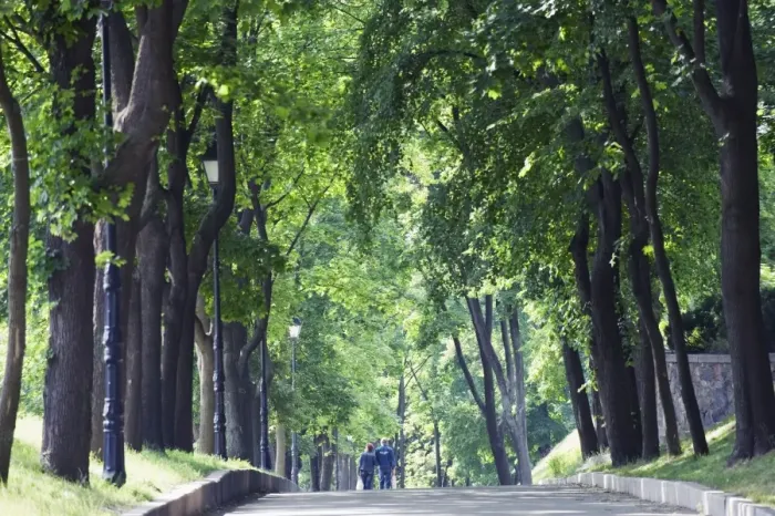 Framed Print : Tree lined avenue in Park Misky Sad, Kiev, Ukraine, Europe Framed Print : Tree lined avenue in Park Misky Sad, Kiev, Ukraine, Europe