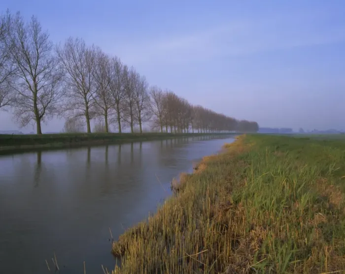 Framed Print : Tree-lined canal Framed Print : Tree-lined canal