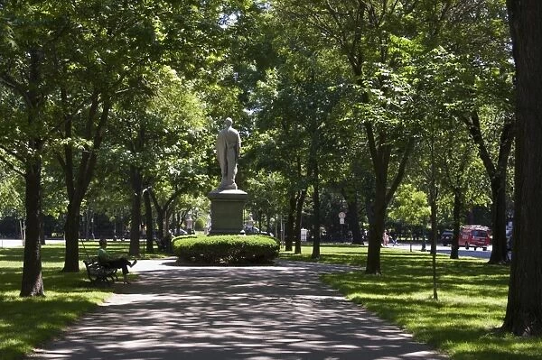 Tree lined central mall in Commonwealth Avenue