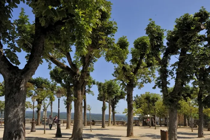 Framed Print : Tree lined promenade area in the Bastide town of Domme, one of Les Plus Beaux Villages de France Framed Print : Tree lined promenade area in the Bastide town of Domme, one of Les Plus Beaux Villages de France