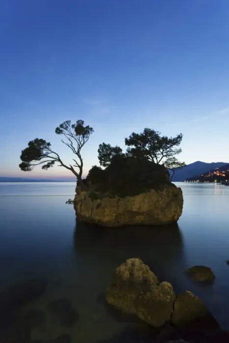 Framed Print : Tree on a rock in the sea, Brela, Makarska Riviera, Dalmatia, Croatia, Europe Framed Print : Tree on a rock in the sea, Brela, Makarska Riviera, Dalmatia, Croatia, Europe