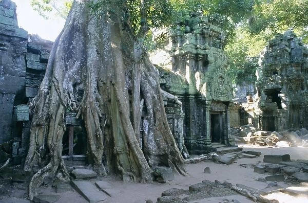 Tree roots growing over ruins at archaeological site, Ta Prohm temple, Angkor