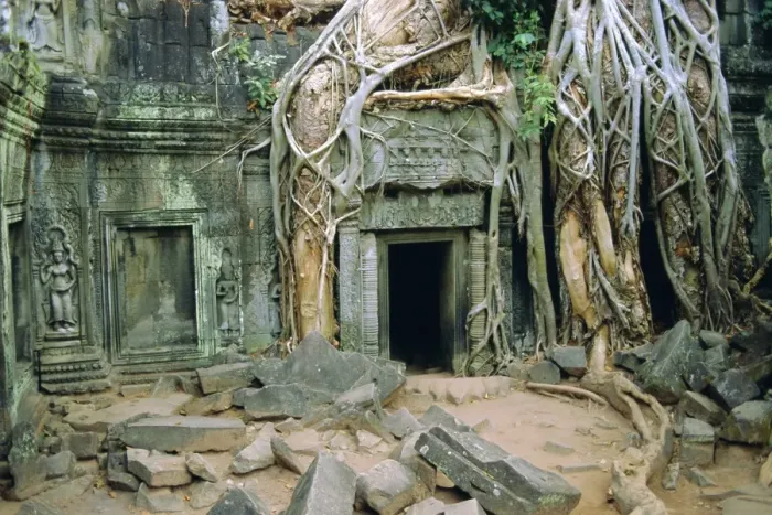 Framed Print : Tree roots overgrowng temple, Ta Prohm, Angkor, Cambodia, Asia Framed Print : Tree roots overgrowng temple, Ta Prohm, Angkor, Cambodia, Asia
