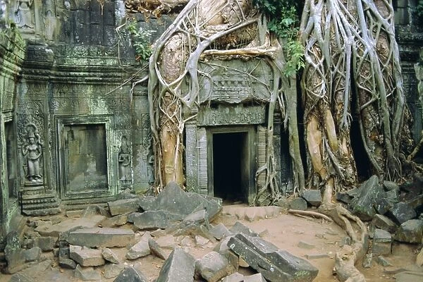 Tree roots overgrowng temple, Ta Prohm, Angkor, Cambodia, Asia