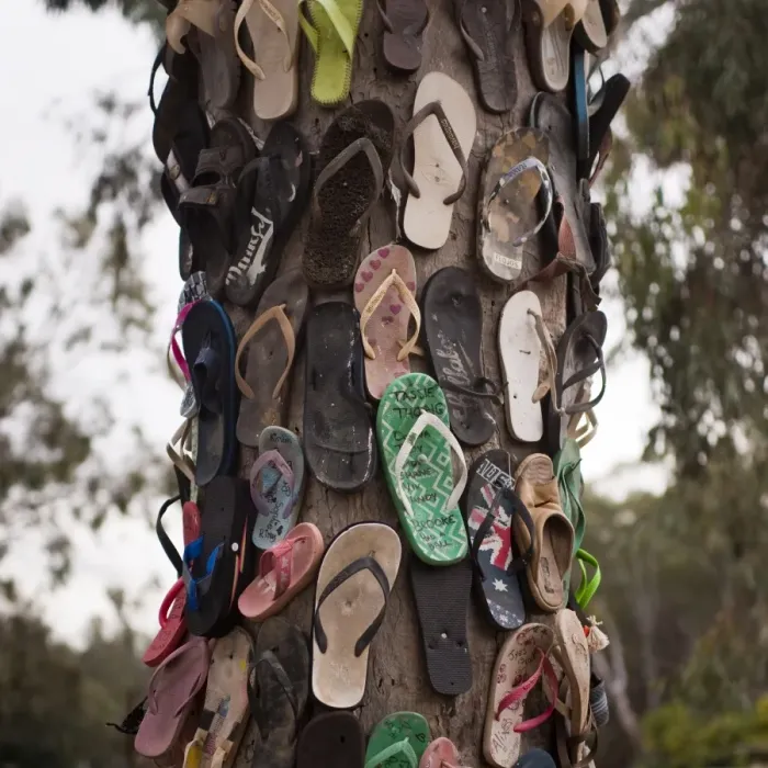 Framed Print : Tree of thongs, Port of Echuca, Echuca, Victoria, Australia, Pacific Framed Print : Tree of thongs, Port of Echuca, Echuca, Victoria, Australia, Pacific