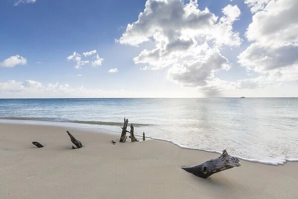 Tree trunks on the beach framed by the crystalline Caribbean Sea, Ffryes Beach, Antigua