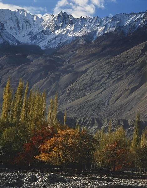 Trees in autumn colours and mountains at Khaplu in Baltistan