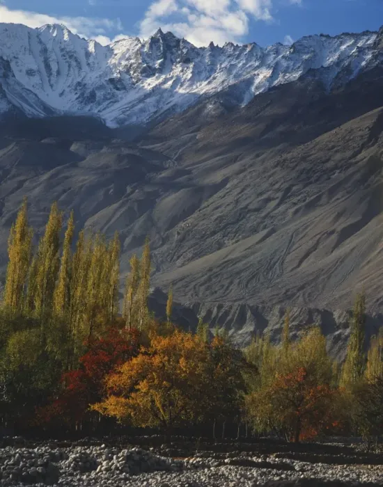 Framed Print : Trees in autumn colours and mountains at Khaplu in Baltistan Framed Print : Trees in autumn colours and mountains at Khaplu in Baltistan