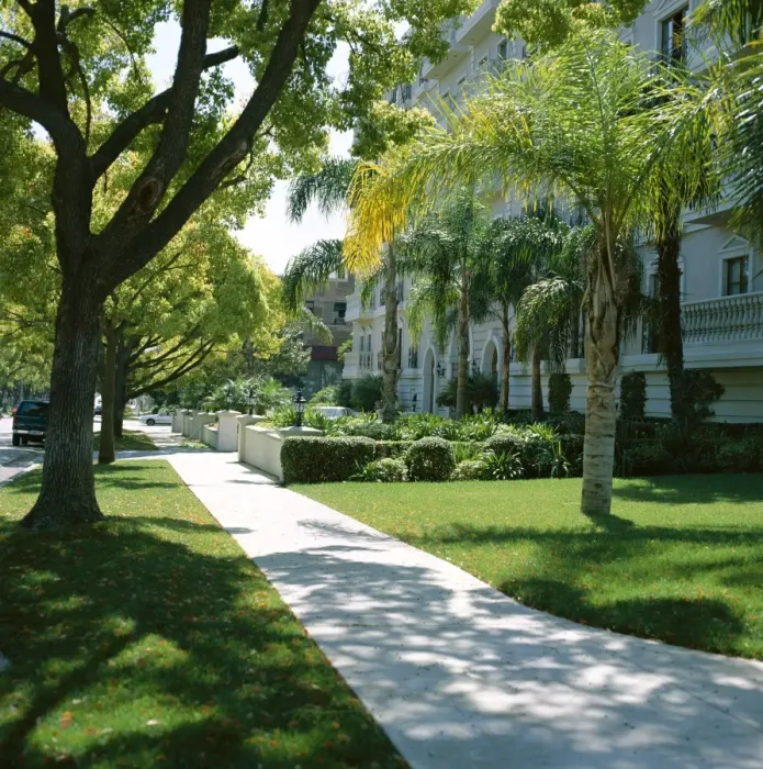 Framed Print : Trees and grass along sidewalk